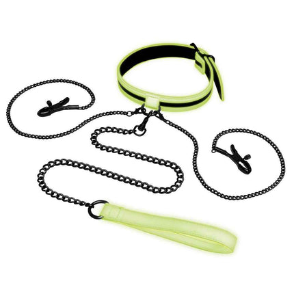 BDSM Leash and Collar