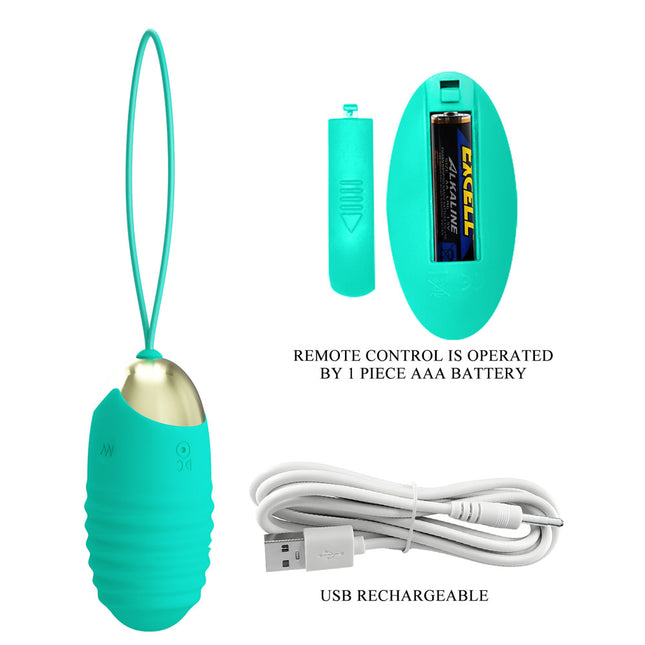 Battery Operated Party Up IAN Teal Remote Control Vibrating Egg