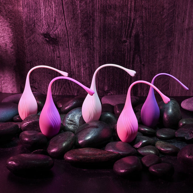 Evolved TIGHT & DELIGHT Kegel Trainer Set - 5 Piece Kit