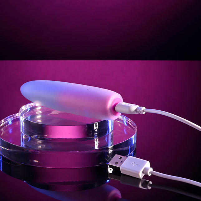 Evolved PARADISE BULLET Pink/Purple Vibrator