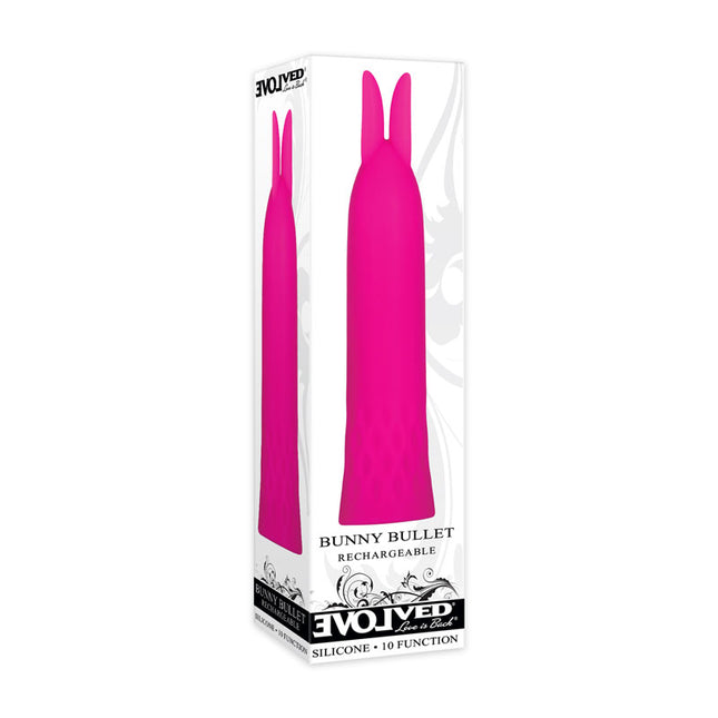 Case only of Evolved Bullet Buddy Pink Bullet Vibrator