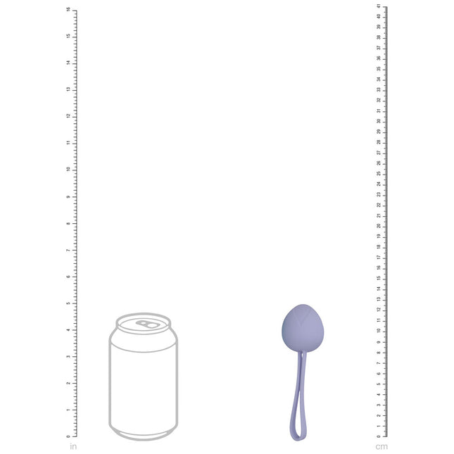 LOVELINE PelviFit Berry - Coloured Kegel Kit (Set of 5 Sizes)