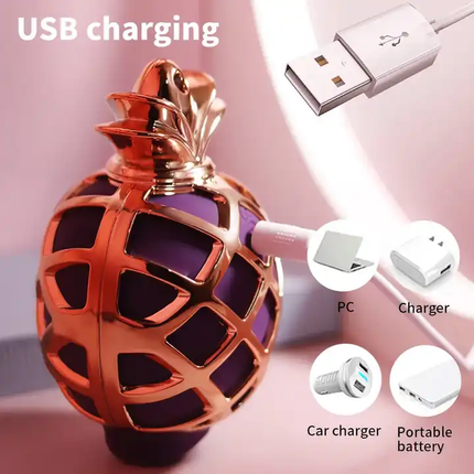 Perfume Sucking Clitoral Stimulator showing USB Charging combability with phone, laptop, mac and other devices