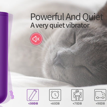 Purple Mini 10 Speed Bullet Vibrator Showing Female Sex Toy Quiet Sound