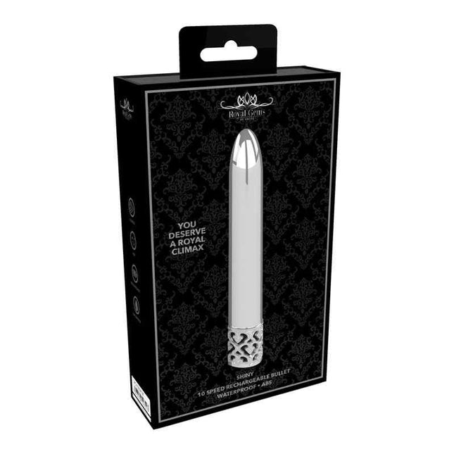 ROYAL GEMS Shiny ABS Bullet Vibrator Silver Case