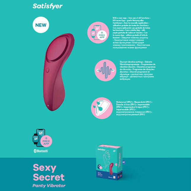 Satisfyer Sexy Secret Panty Vibrator Features Diagram