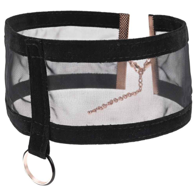 Sex & Mischief Sheer Day Collar with Velvet Ribbon